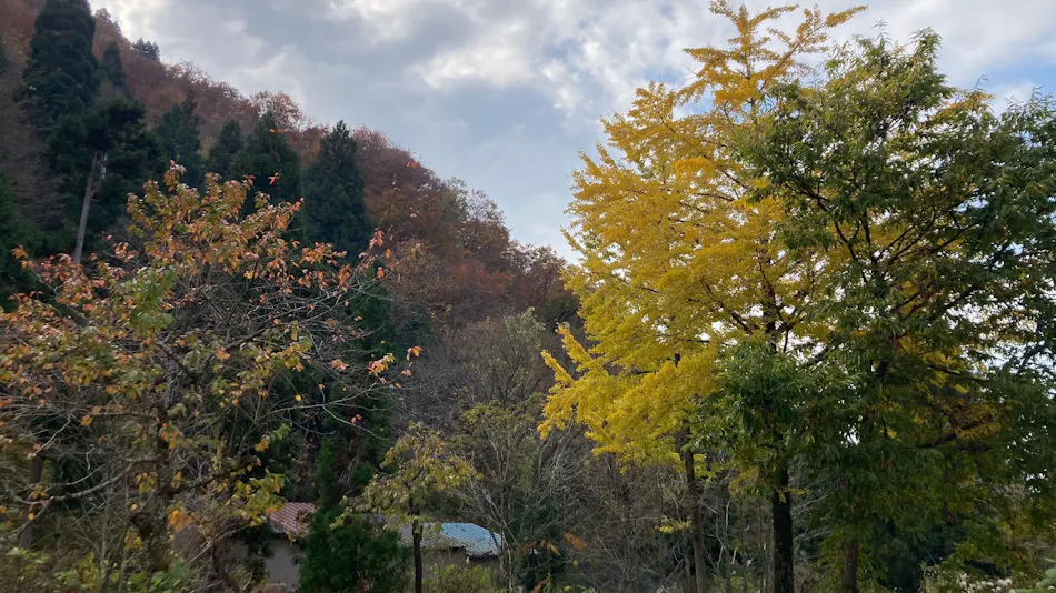 TABIHAKU STAY Hakusan