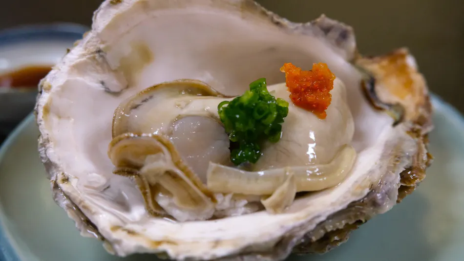 Kasumi Shibayama-so Annex Sansuien