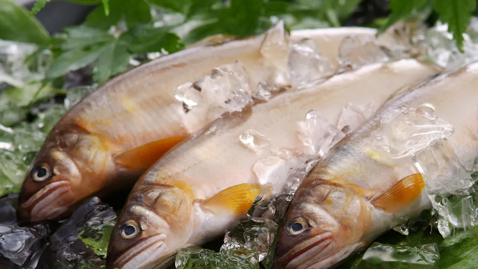 Kasumi Shibayama-so Annex Sansuien