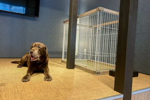 유후쿠 최초의 반려동물 동반 가능 호텔입니다.