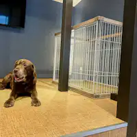 유후쿠 최초의 반려동물 동반 가능 호텔입니다.