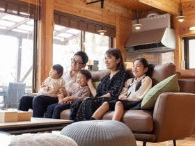 森の樹木