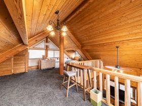 森の樹木