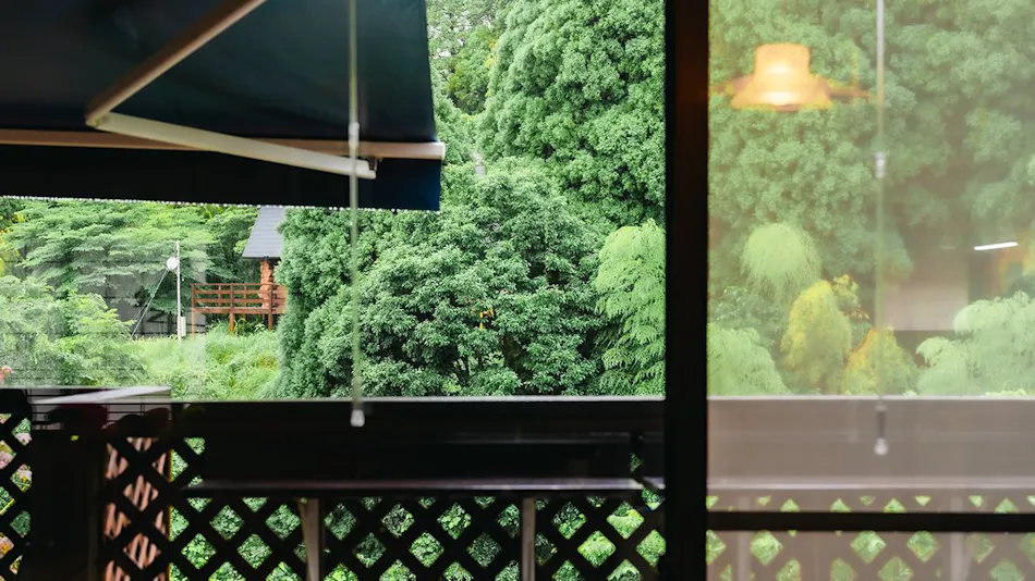 Kurokawa Forest Trees