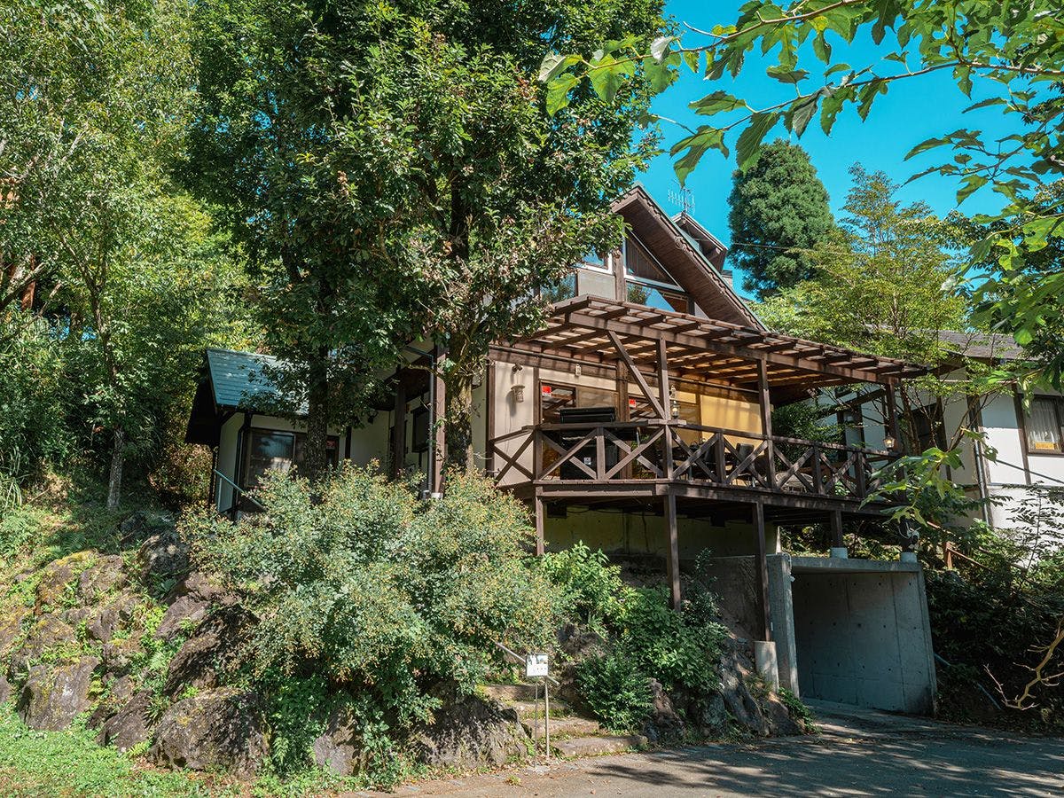 【ต้นไม้ในป่า】ภายนอก