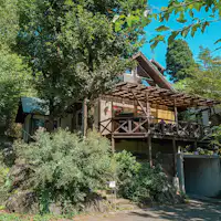 【ต้นไม้ในป่า】ภายนอก