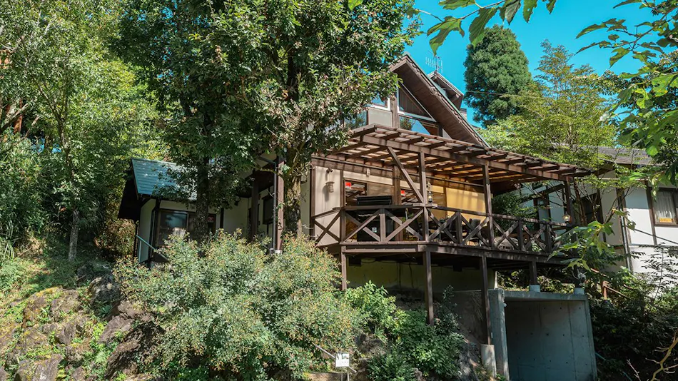 Kurokawa Forest Trees