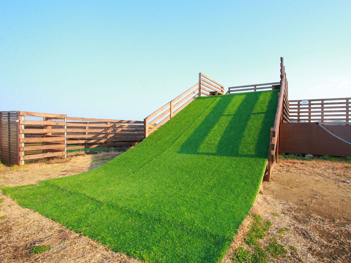 สกีหญ้า