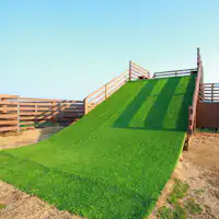 สกีหญ้า