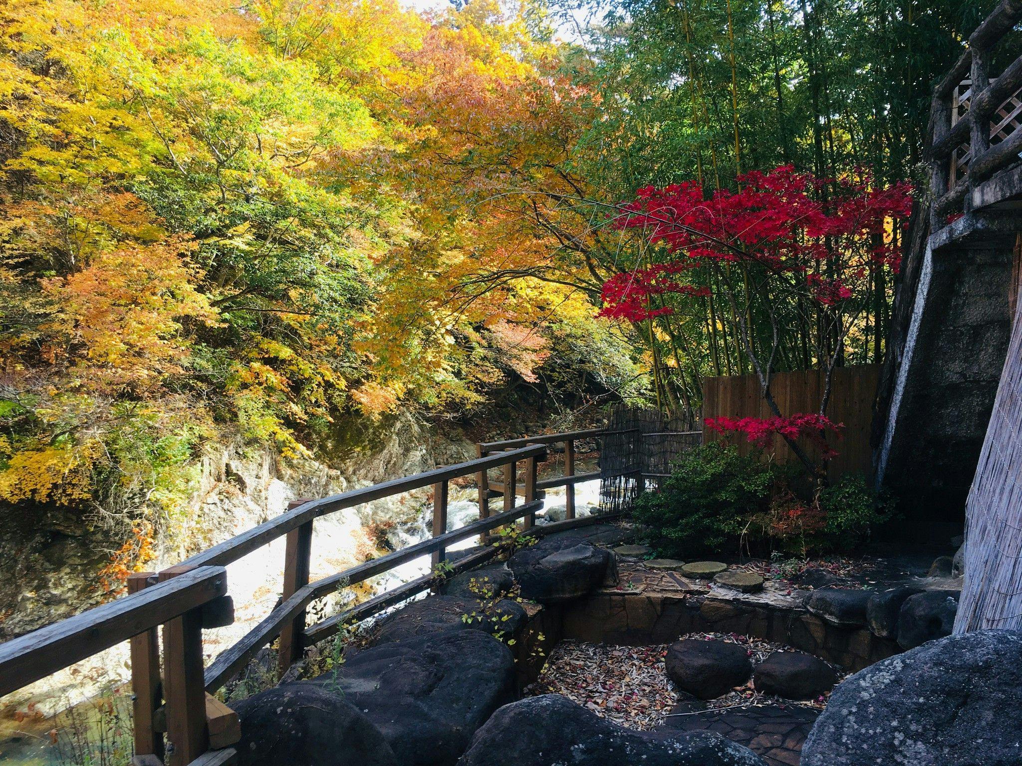 Nikko Garden Hotel