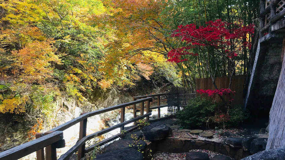 Nikko Garden Hotel