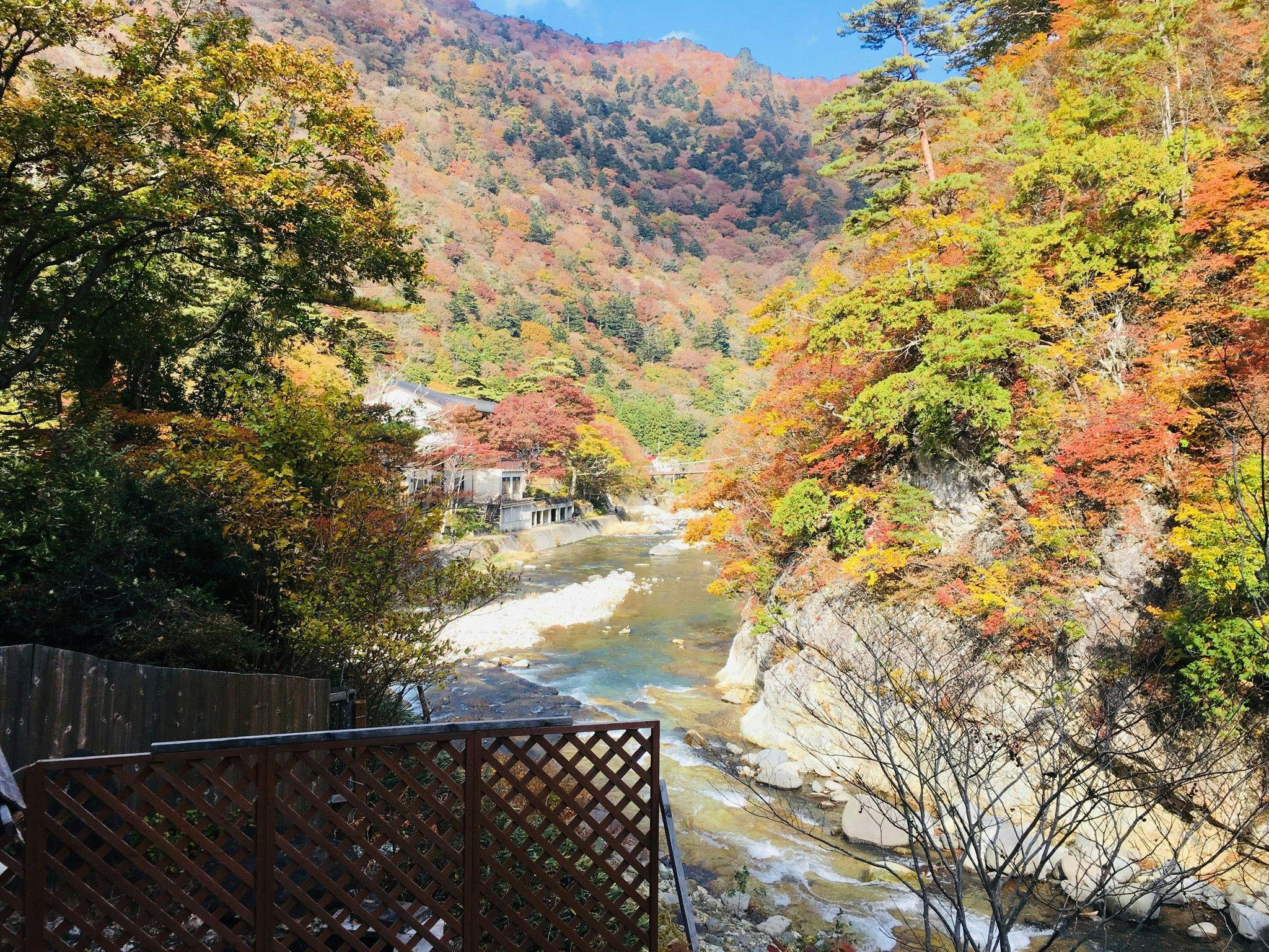 Nikko Garden Hotel