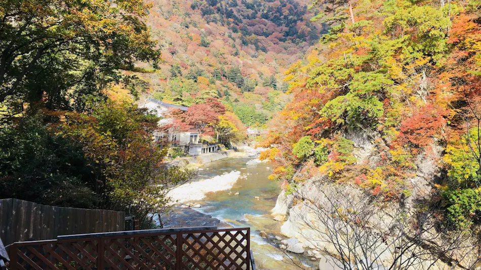 Nikko Garden Hotel