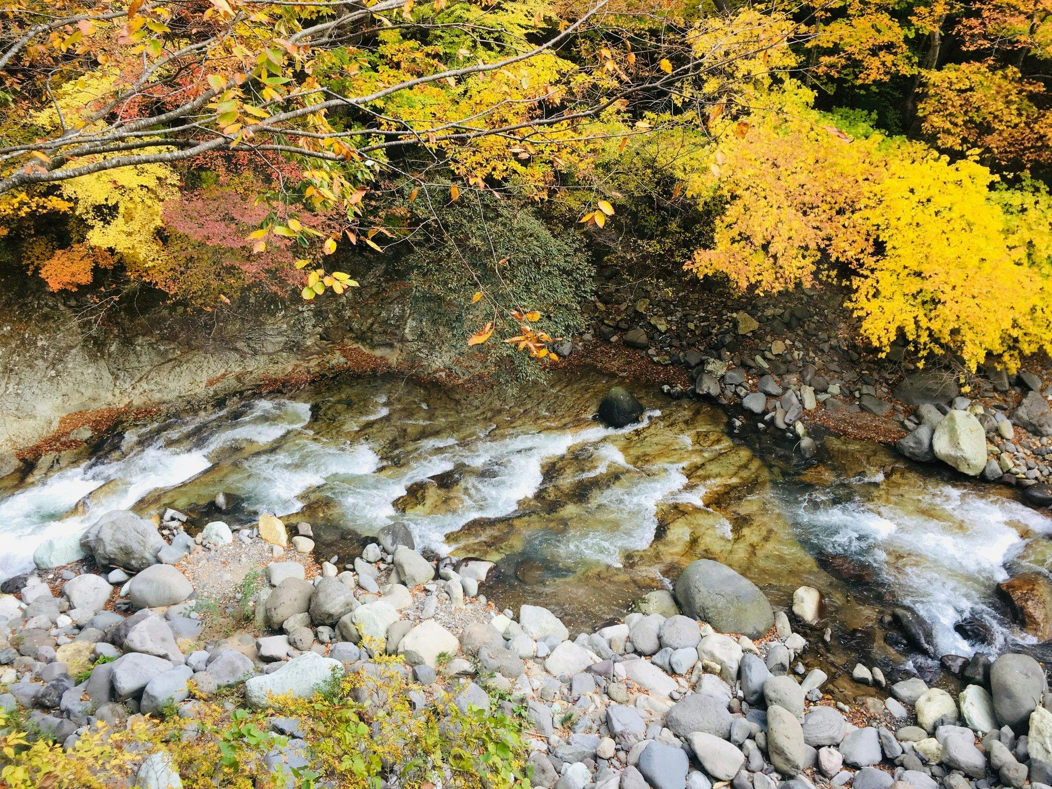 Nikko Garden Hotel