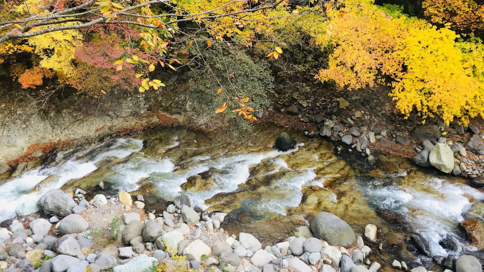 Nikko Garden Hotel