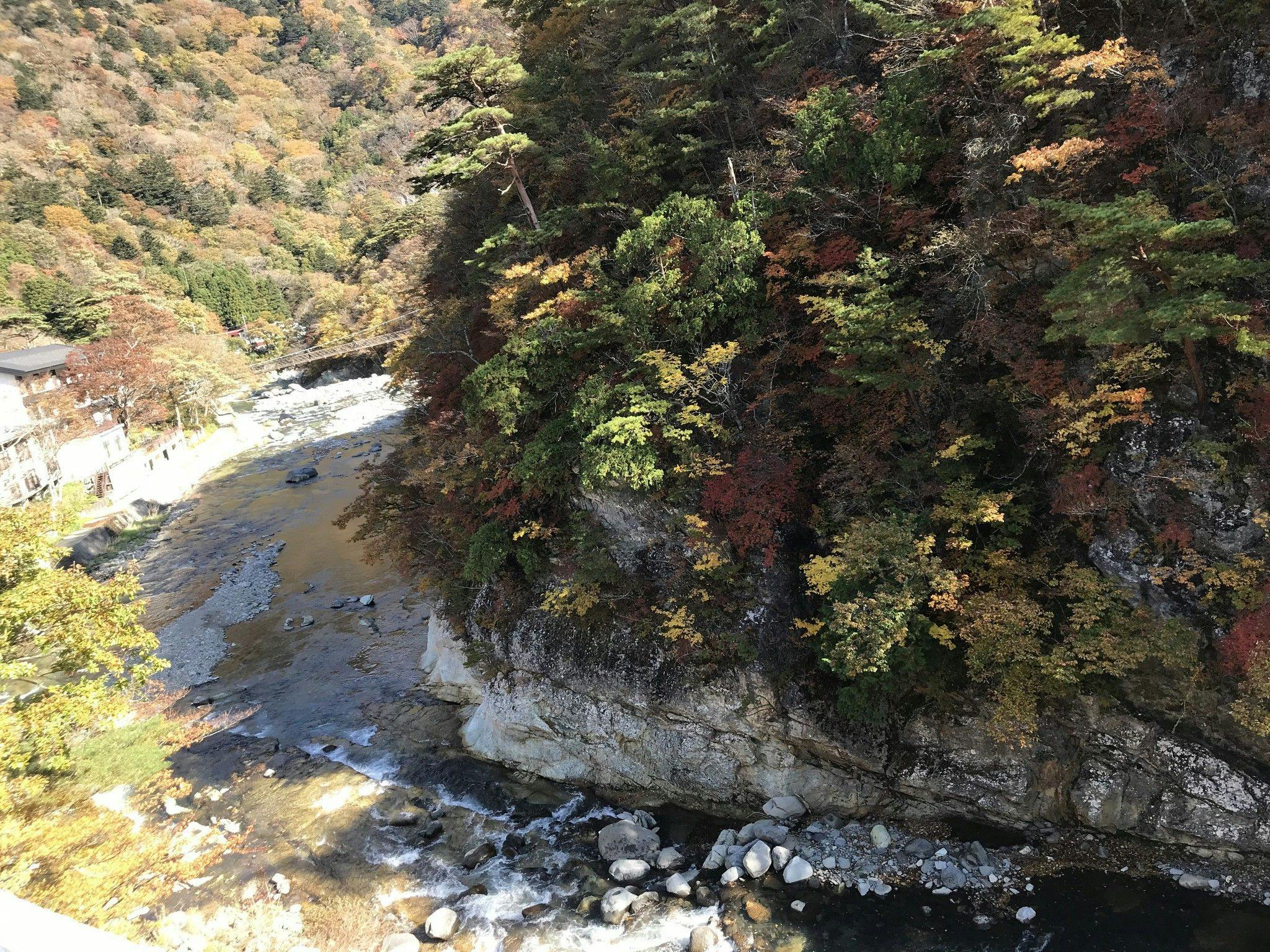 Nikko Garden Hotel