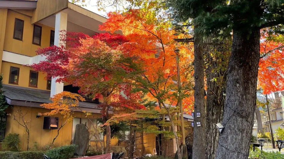 Nikko Garden Hotel