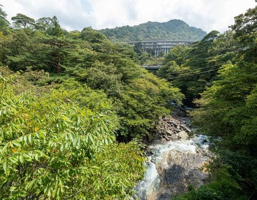 ツイン【楽湯付】　302号室