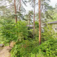 *【ลานกลางแจ้ง】