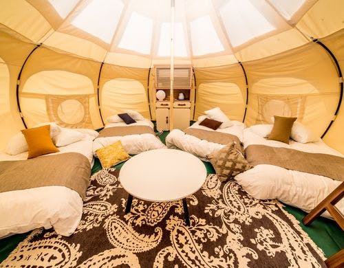 *【ロータステント】