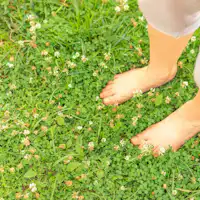 *【กิจกรรม】สัมผัสประสบการณ์การเดินเท้าเปล่า