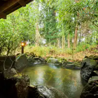 บ่อน้ำพุร้อนกลางแจ้ง