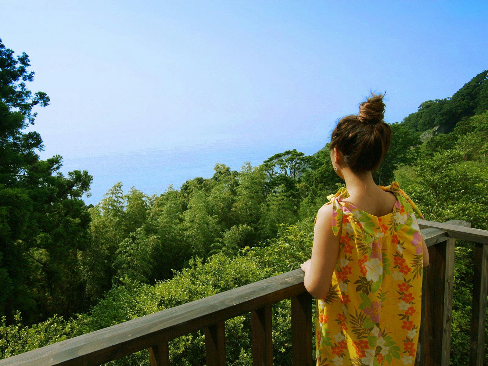 Ocean View Resort Misaki