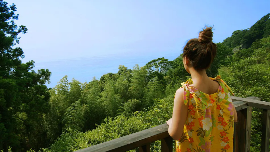 Ocean View Resort Misaki