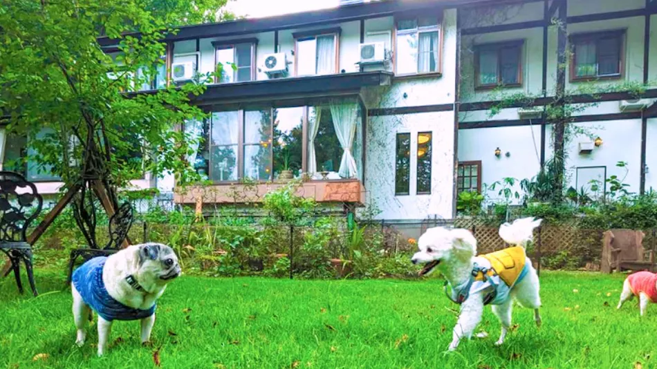 Hakuba Goryu Pension Over Gurgle