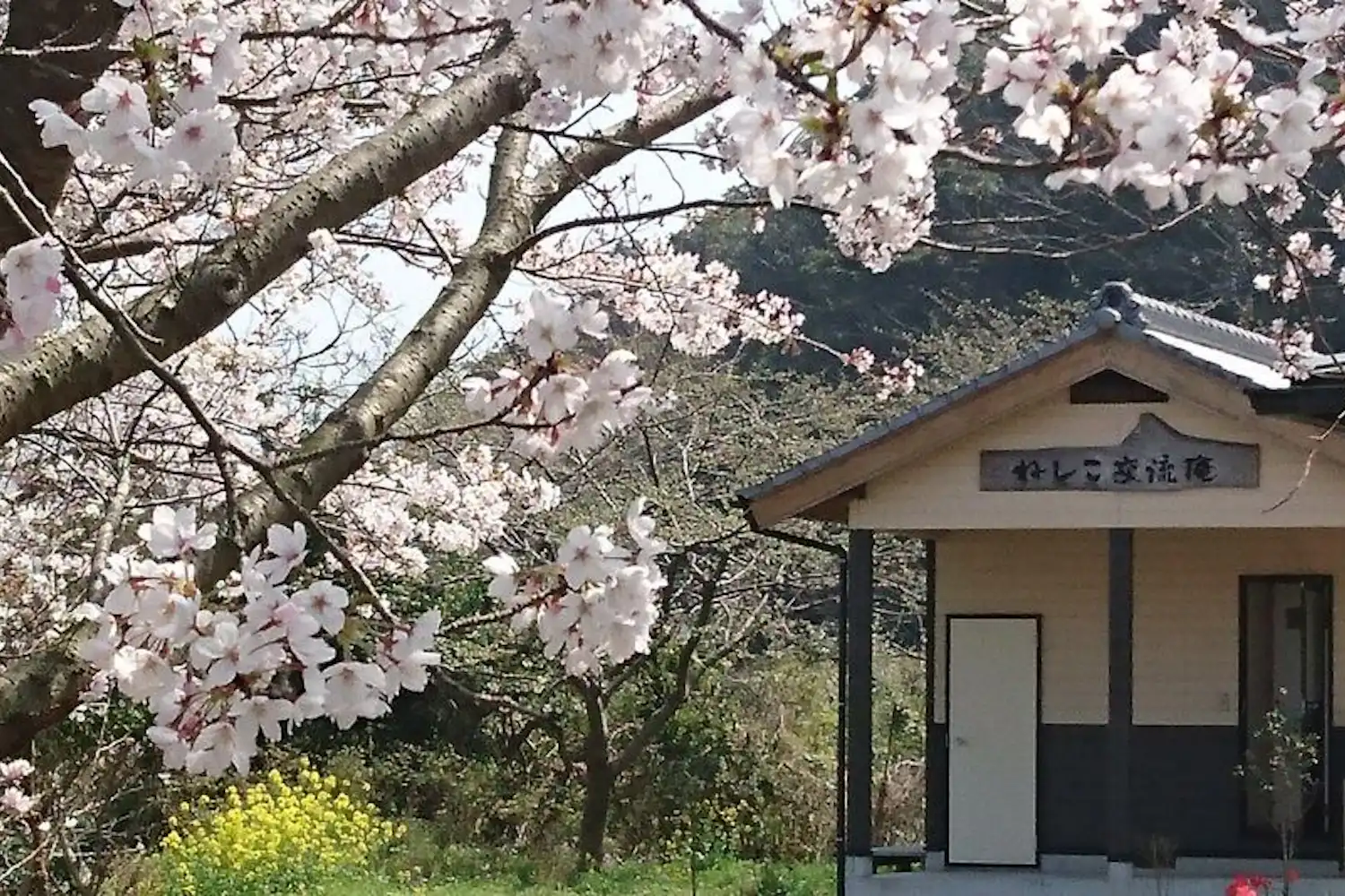 Eksterior