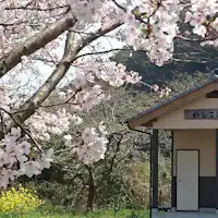 Eksterior