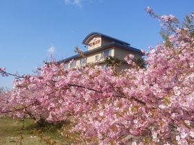 黒沢温泉喜三郎