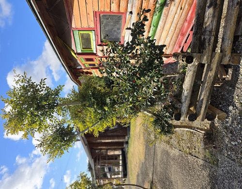 ミニハウス外観