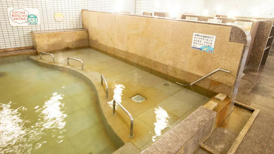 Dogo Saya Onsen Yurara Family Bath
