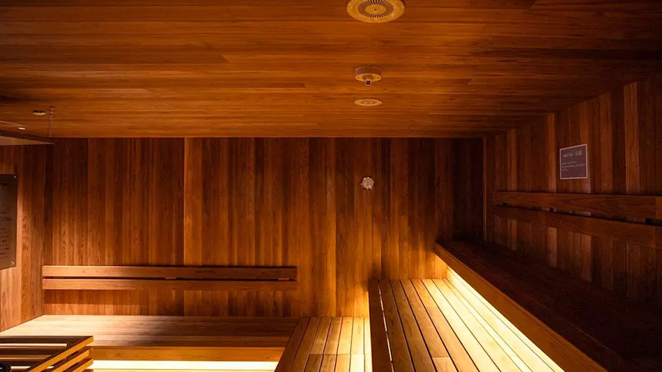 Dogo Saya Onsen Yurara Family Bath