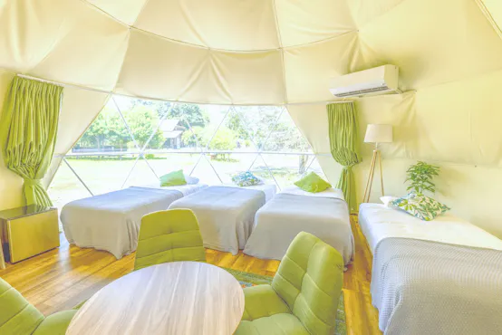 แกลมปิ้ง【ใบไม้ผลิ】ในร่ม