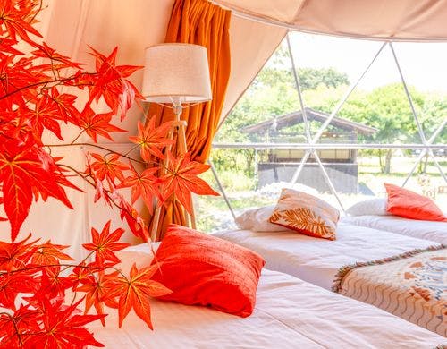 グランピング【紅葉】室内
