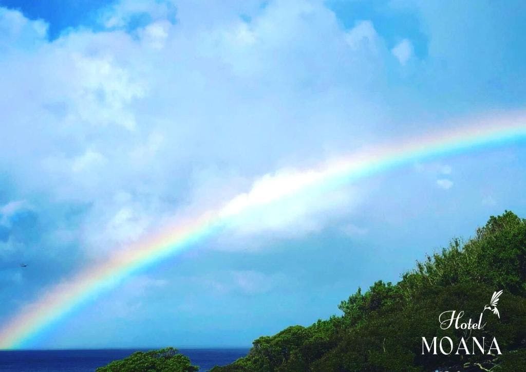 Hotel MOANA Spectacular Ocean View Cafe Lounge