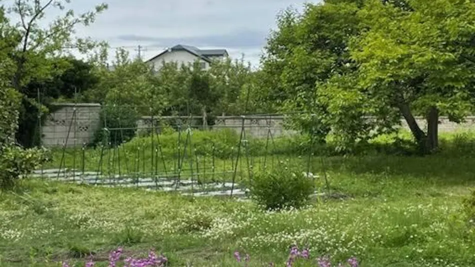 Aomori Kurabaku