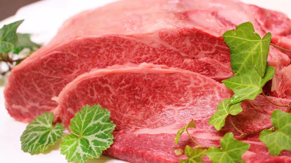 Kinuno Yado Shiki Ootoro