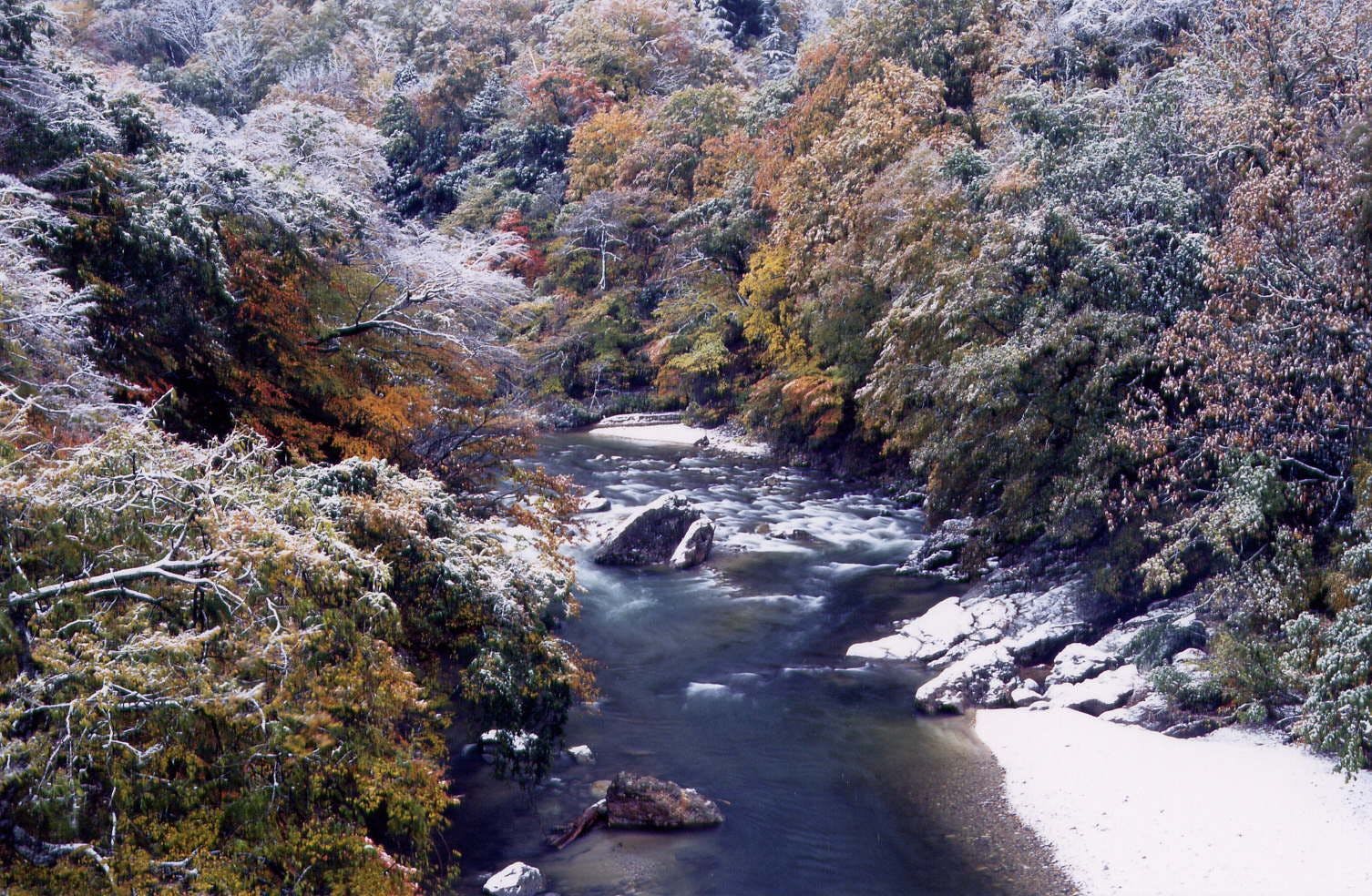 Ryokan Tarohei