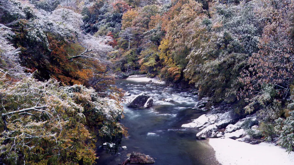 Ryokan Tarohei
