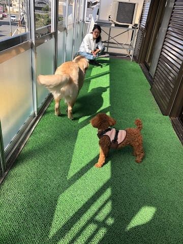 Vacation House Terrace Kyo-Owari in Nara