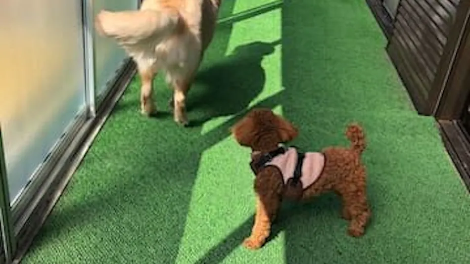 Vacation House Terrace Kyo-Owari in Nara