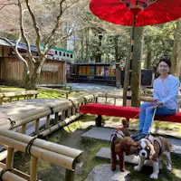 Bersiar-siar dengan anjing di Taman Nara (Kasuga Chaya).