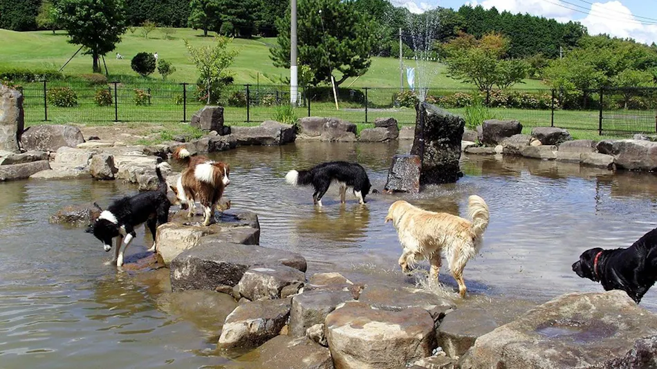 Jinseki Kogen Tiergarten