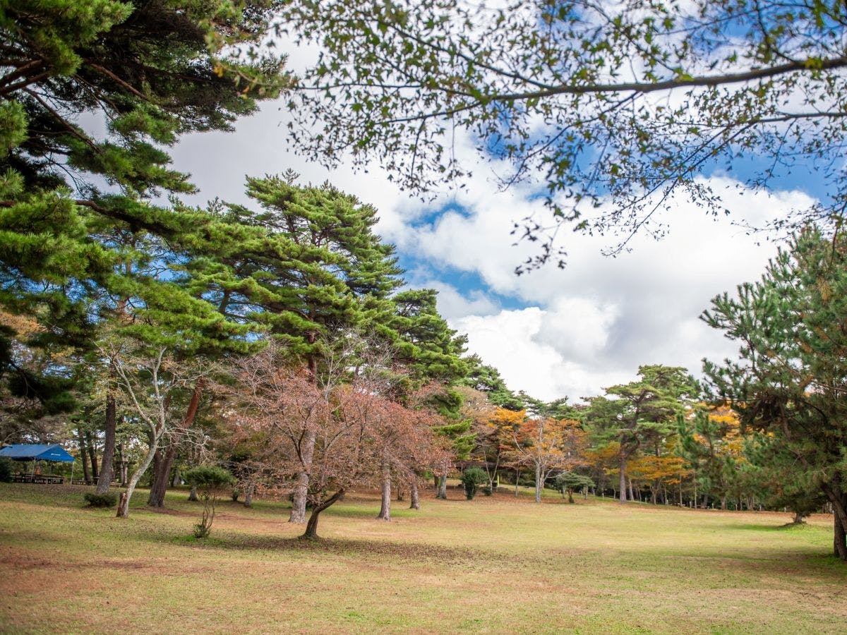 Jinseki Kogen Tiergarten
