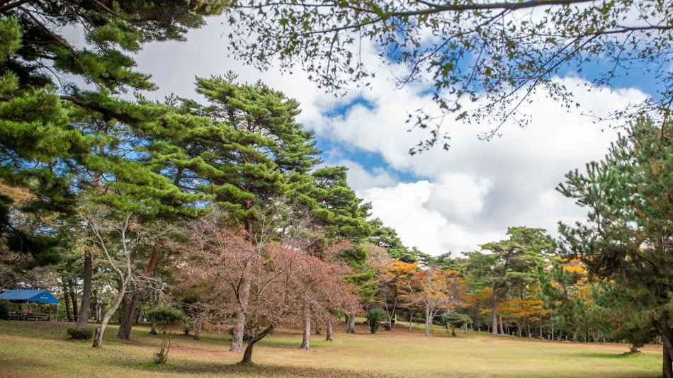 Jinseki Kogen Tiergarten