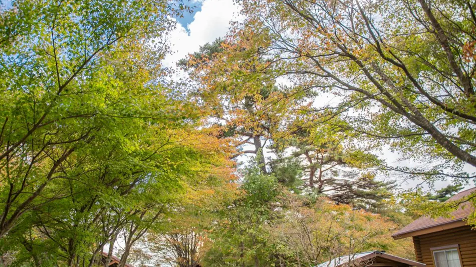 Jinseki Kogen Tiergarten