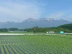 料理の美味しい宿　さんかくじょうぎ